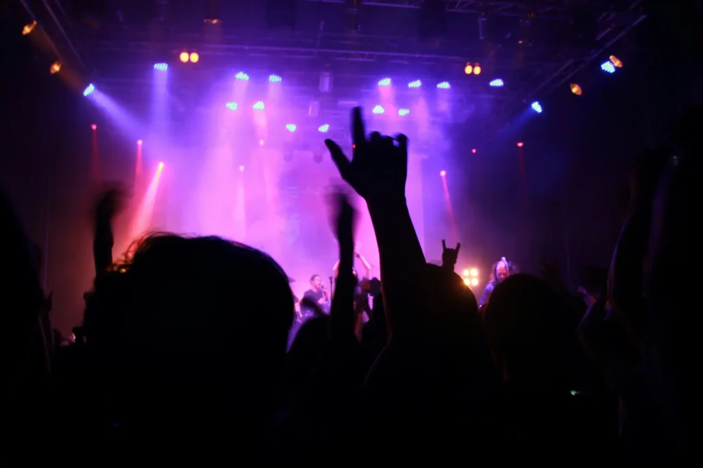 el rock no murio, publico levantando manos en concierto de rock